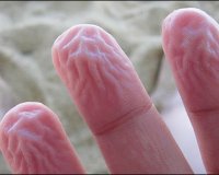 Î“Î¹Î±Ï„Î¯ Î¶Î±ÏÏŽÎ½Î¿Ï…Î½ Ï„Î± Î´Î¬Ï‡Ï„Ï…Î»Î± Î¼Î±Ï‚ ÏŒÏ„Î±Î½ Î²ÏÎ¯ÏƒÎºÎ¿Î½Ï„Î±Î¹ ÏƒÏ„Î¿ Î½ÎµÏÏŒlive-in | Η Έξυπνη, Αντικειμενική και Εναλλακτική Ενημέρωση!