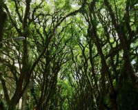 Î‘Ï…Ï„ÏŒÏ‚ ÎµÎ¯Î½Î±Î¹ Î¿ Î¿Î¼Î¿ÏÏ†ÏŒÏ„ÎµÏÎ¿Ï‚ Î´ÏÏŒÎ¼Î¿Ï‚ Ï„Î¿Ï… ÎºÏŒÏƒÎ¼Î¿Ï…!live-in | Η Έξυπνη, Αντικειμενική και Εναλλακτική Ενημέρωση!