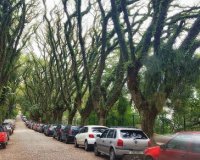 Î‘Ï…Ï„ÏŒÏ‚ ÎµÎ¯Î½Î±Î¹ Î¿ Î¿Î¼Î¿ÏÏ†ÏŒÏ„ÎµÏÎ¿Ï‚ Î´ÏÏŒÎ¼Î¿Ï‚ Ï„Î¿Ï… ÎºÏŒÏƒÎ¼Î¿Ï…!live-in | Η Έξυπνη, Αντικειμενική και Εναλλακτική Ενημέρωση!