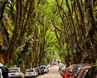 Î‘Ï…Ï„ÏŒÏ‚ ÎµÎ¯Î½Î±Î¹ Î¿ Î¿Î¼Î¿ÏÏ†ÏŒÏ„ÎµÏÎ¿Ï‚ Î´ÏÏŒÎ¼Î¿Ï‚ Ï„Î¿Ï… ÎºÏŒÏƒÎ¼Î¿Ï…!live-in | Η Έξυπνη, Αντικειμενική και Εναλλακτική Ενημέρωση!