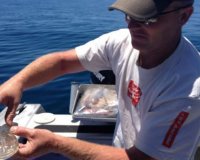 Το διαφανÎÏ‚ πλάσμα της θάλασσας!live-in | Η Έξυπνη, Αντικειμενική και Εναλλακτική Ενημέρωση!