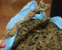 ÎšÎ±Ï„ÎµÏÎ¯Î½Î·: ÎœÎµÏ„Î­Ï†ÎµÏÎ±Î½ Î»Î±Ï‡Î±Î½Î¹ÎºÎ¬... Î¼Îµ Ï‡Î±ÏƒÎ¯Ï‚!live-in | Η Έξυπνη, Αντικειμενική και Εναλλακτική Ενημέρωση!