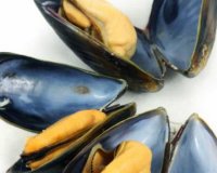 4 Î¶ÏŽÎ½ÎµÏ‚ ÏƒÎµ 12.085 ÏƒÏ„ÏÎ­Î¼Î¼Î±Ï„Î± Î¸Î±Î»Î¬ÏƒÏƒÎ¹Î¿Ï… Ï€Î¬ÏÎºÎ¿Ï… ÏƒÏ„Î· Î Î¹ÎµÏÎ¯Î±live-in | Η Έξυπνη, Αντικειμενική και Εναλλακτική Ενημέρωση!