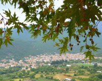 Î¤Î­ÏƒÏƒÎµÏÎ± Ï‡ÏÏŒÎ½Î¹Î± Ï„ÏÎ­Ï‡ÎµÎ¹ Î±ÏÏƒÎµÎ½Î¹ÎºÏŒ Î±Ï€ÏŒ Ï„Î¹Ï‚ Î²ÏÏÏƒÎµÏ‚ ÏƒÎµ Ï‡Ï‰ÏÎ¹ÏŒ Ï„Î·Ï‚ ÎšÎ±Î²Î¬Î»Î±Ï‚live-in | Η Έξυπνη, Αντικειμενική και Εναλλακτική Ενημέρωση!