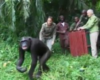 Î— Î±Ï€Î¯ÏƒÏ„ÎµÏ…Ï„Î· Ï‡ÎµÎ¹ÏÎ¿Î½Î¿Î¼Î¯Î± Ï‡Î¹Î¼Ï€Î±Ï„Î¶Î® ÏƒÏ„Î· Î³Ï…Î½Î±Î¯ÎºÎ± Ï€Î¿Ï… Ï„Î¿Î½ Î­ÏƒÏ‰ÏƒÎµlive-in | Η Έξυπνη, Αντικειμενική και Εναλλακτική Ενημέρωση!