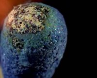 Î”ÎµÎ¯Ï„Îµ ÏƒÎµ slow motion... Ï€ÏŽÏ‚ Î±Î½Î¬Î²ÎµÎ¹ Î­Î½Î± ÏƒÏ€Î¯ÏÏ„Î¿!live-in | Η Έξυπνη, Αντικειμενική και Εναλλακτική Ενημέρωση!