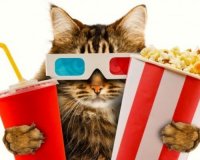 Î“Î¹Î±Ï„Î¯ Ï„ÏÏŽÎ¼Îµ Ï€Î¿Ï€ ÎºÎ¿ÏÎ½ ÏƒÏ„Î¿Î½ ÎºÎ¹Î½Î·Î¼Î±Ï„Î¿Î³ÏÎ¬Ï†Î¿;live-in | Η Έξυπνη, Αντικειμενική και Εναλλακτική Ενημέρωση!