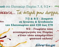 Î“Î¹Î¿ÏÏ„Î® ÎšÏÎ±ÏƒÎ¹Î¿Ï ÏƒÏ„Î¿ Î•Î»Î±Ï„Î¿Ï‡ÏŽÏÎ¹ Î Î¹ÎµÏÎ¯Î±Ï‚!live-in | Η Έξυπνη, Αντικειμενική και Εναλλακτική Ενημέρωση!