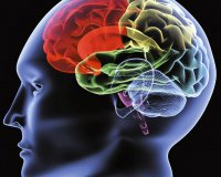 ÎŸÎ¹ 8 Î»Î¬Î¸Î¿Ï‚ Î»ÎµÎ¹Ï„Î¿Ï…ÏÎ³Î¯ÎµÏ‚ Ï„Î¿Ï… ÎµÎ³ÎºÎµÏ†Î¬Î»Î¿Ï…live-in | Η Έξυπνη, Αντικειμενική και Εναλλακτική Ενημέρωση!