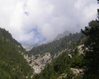 ÎœÎ¹Î± ÏƒÎµÎ»Î¯Î´Î± Î³Î¹Î± Ï„Î¿Î½ ÎŒÎ»Ï…Î¼Ï€Î¿ ÎºÎ±Î¹ Î³Î¹Î± Ï„Î·Î½ Î¿ÏÎµÎ¹Î²Î±ÏƒÎ¯Î± ÏƒÏ„Î·Î½ Î•Î»Î»Î¬Î´Î±!live-in | Η Έξυπνη, Αντικειμενική και Εναλλακτική Ενημέρωση!