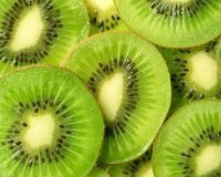 Î¤Î± Î¸ÎµÏÎ±Ï€ÎµÏ…Ï„Î¹ÎºÎ¬ Î¿Ï†Î­Î»Î· Ï„Î¿Ï… Î±ÎºÏ„Î¹Î½Î¯Î´Î¹Î¿Ï… Î³Î¹Î± Ï„Î¿Ï…Ï‚ Ï€Î½ÎµÏÎ¼Î¿Î½ÎµÏ‚live-in | Η Έξυπνη, Αντικειμενική και Εναλλακτική Ενημέρωση!