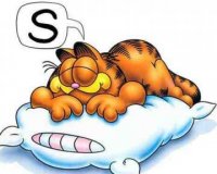 Î£Ï‡ÎµÏ„Î¯Î¶Î¿Î½Ï„Î±Î¹ Ï„Î± ÏŒÎ½ÎµÎ¹ÏÎ± Î¼Îµ Ï„Î·Î½ Ï…Î³ÎµÎ¯Î± Î¼Î±Ï‚;live-in | Η Έξυπνη, Αντικειμενική και Εναλλακτική Ενημέρωση!