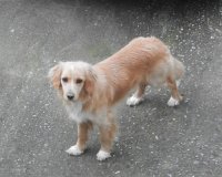 Î§Î¬Î¸Î·ÎºÎµ ÏƒÎºÏ…Î»Î¬ÎºÎ¹ ÏƒÏ„Î·Î½ ÎšÎ±Ï„ÎµÏÎ¯Î½Î·!live-in | Η Έξυπνη, Αντικειμενική και Εναλλακτική Ενημέρωση!