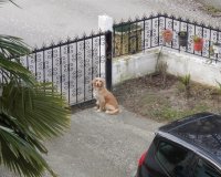 Î§Î¬Î¸Î·ÎºÎµ ÏƒÎºÏ…Î»Î¬ÎºÎ¹ ÏƒÏ„Î·Î½ ÎšÎ±Ï„ÎµÏÎ¯Î½Î·!live-in | Η Έξυπνη, Αντικειμενική και Εναλλακτική Ενημέρωση!