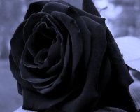 ÎšÎ±Ï„ÎµÏÎ¯Î½Î·: Î£Ï…Î»Î»Ï…Ï€Î·Ï„Î®ÏÎ¹Î± Î³Î¹Î± Ï„Î¿Î½ Î±Î¹Ï†Î½Î¯Î´Î¹Î¿ Î¸Î¬Î½Î±Ï„Î¿ Ï„Î¿Ï… Î”Î·Î¼. Î£Ï…Î¼Î². Î‘Î¸Î±Î½Î±ÏƒÎ¯Î¿Ï… Î£Ï„Ï…Î»Î¹Î±Î½Î¯Î´Î·!live-in | Η Έξυπνη, Αντικειμενική και Εναλλακτική Ενημέρωση!