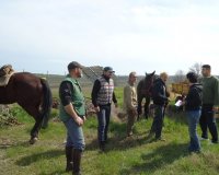 Î Î¿ÏÎµÎ¯Î± Î•Î¹ÏÎ®Î½Î·Ï‚ Î™Ï„Î±Î»Î¯Î±-Î™ÏÎ¬Îº Î¼Îµ Î¬Î»Î¿Î³Î±live-in | Η Έξυπνη, Αντικειμενική και Εναλλακτική Ενημέρωση!