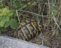 ÎžÎµÎ½Î¬Î³Î·ÏƒÎ· ÏƒÏ„Î¿Î½ Ï…Î³ÏÏŒÏ„Î¿Ï€Î¿ ÎºÎ±Î¹ Ï„Î¿ Ï€Î±ÏÎ±Ï„Î·ÏÎ·Ï„Î®ÏÎ¹Î¿ Ï„Î·Ï‚ ÎÎ­Î±Ï‚ Î‘Î³Î±Î¸Î¿ÏÏ€Î¿Î»Î·Ï‚live-in | Η Έξυπνη, Αντικειμενική και Εναλλακτική Ενημέρωση!