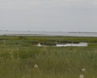 ÎžÎµÎ½Î¬Î³Î·ÏƒÎ· ÏƒÏ„Î¿Î½ Ï…Î³ÏÏŒÏ„Î¿Ï€Î¿ ÎºÎ±Î¹ Ï„Î¿ Ï€Î±ÏÎ±Ï„Î·ÏÎ·Ï„Î®ÏÎ¹Î¿ Ï„Î·Ï‚ ÎÎ­Î±Ï‚ Î‘Î³Î±Î¸Î¿ÏÏ€Î¿Î»Î·Ï‚live-in | Η Έξυπνη, Αντικειμενική και Εναλλακτική Ενημέρωση!