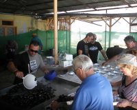 Î ÏŒÎ»Î¿Ï‚ Î­Î»Î¾Î·Ï‚ ÎºÎ±Î¹ Ï†Î­Ï„Î¿Ï‚ Î· ÎœÏ…Î´Î¿Ï‡Î±ÏÎ¬ ÏƒÏ„Î¿Î½ ÎœÎ±ÎºÏÏÎ³Î¹Î±Î»Î¿live-in | Η Έξυπνη, Αντικειμενική και Εναλλακτική Ενημέρωση!