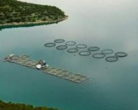 Î£ÏÏƒÎºÎµÏˆÎ· Î³Î¹Î± Î ÎŸÎ‘Î¥ â€“ Î ÏÎ¿ÏƒÏ„Î±ÏƒÎ¯Î± Î±ÎºÏ„ÏŽÎ½ ÏƒÏ…Î³ÎºÎ±Î»ÎµÎ¯ Î¿ Î”Î®Î¼Î¿Ï‚ Î ÏÎ´Î½Î±Ï‚ â€“ ÎšÎ¿Î»Î¹Î½Î´ÏÎ¿Ïlive-in | Η Έξυπνη, Αντικειμενική και Εναλλακτική Ενημέρωση!