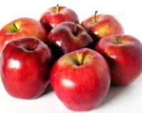 ÎˆÎ½Î± Î¼Î®Î»Î¿ Ï„Î·Î½ Î·Î¼Î­ÏÎ± ... ÏÎ¯Ï‡Î½ÎµÎ¹ Ï„Î· Ï‡Î¿Î»Î·ÏƒÏ„ÎµÏÎ¯Î½Î·live-in | Η Έξυπνη, Αντικειμενική και Εναλλακτική Ενημέρωση!