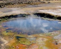 ÎœÏŒÏÎ¹Î¿ Ï€Î¿Ï… Î²ÏÎ­Î¸Î·ÎºÎµ Î³Î¹Î± Ï€ÏÏŽÏ„Î· Ï†Î¿ÏÎ¬ ÏƒÏ„Î· Ï†ÏÏƒÎ· Î¯ÏƒÏ‰Ï‚ Î®Ï„Î±Î½ Î¿ Ï€ÏÏŒÎ³Î¿Î½Î¿Ï‚ Ï„Î¿Ï… DNAlive-in | Η Έξυπνη, Αντικειμενική και Εναλλακτική Ενημέρωση!